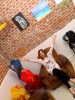 15-10-2022, Aperitivo all'Artefact con mostra di Clizia Gordini: Foto 12