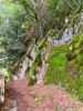 23-04-2023, Gita a Torno: Foto 54