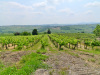 27-05-2023, Gita enologica a MontÃ¹ Beccaria e Stradella con degustazione presso l'<a href='https://ilpoggiolovini.com/' target='blank'>Azienda Agricola Il Poggiolo</a>: Picture 1