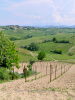 27-05-2023, Gita enologica a MontÃ¹ Beccaria e Stradella con degustazione presso l'<a href='https://ilpoggiolovini.com/' target='blank'>Azienda Agricola Il Poggiolo</a>: Bild 22