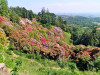 02-06-2023, Gita al Parco Burcina e a Pollone: Foto 35