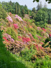 02-06-2023, Gita al Parco Burcina e a Pollone: Foto 37