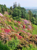 02-06-2023, Gita al Parco Burcina e a Pollone: Foto 38