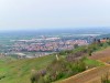 07-04-2024, Gita enologica a Pietra de Giorgi con degustazione presso l'<a href='http://www.ferrarivini.it/' target='blank'>Azienda Agricola Ferrari</a>: Foto 22