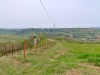 07-04-2024, Gita enologica a Pietra de Giorgi con degustazione presso l'<a href='http://www.ferrarivini.it/' target='blank'>Azienda Agricola Ferrari</a>: Foto 43