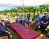 18-05-2025, Picnic enologico a Miradolo Terme con degustazione dei prodotti dell'<a href='https://www.viniguglielmini.com/' target='blank'>Azienda Agricola F.lli Guglielmini</a> e visita del Castello di San Colombano: Foto 7