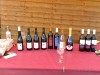 18-05-2025, Picnic enologico a Miradolo Terme con degustazione dei prodotti dell'<a href='https://www.viniguglielmini.com/' target='blank'>Azienda Agricola F.lli Guglielmini</a> e visita del Castello di San Colombano: Foto 8