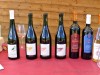 18-05-2025, Picnic enologico a Miradolo Terme con degustazione dei prodotti dell'<a href='https://www.viniguglielmini.com/' target='blank'>Azienda Agricola F.lli Guglielmini</a> e visita del Castello di San Colombano: Foto 9