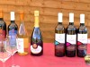 18-05-2025, Picnic enologico a Miradolo Terme con degustazione dei prodotti dell'<a href='https://www.viniguglielmini.com/' target='blank'>Azienda Agricola F.lli Guglielmini</a> e visita del Castello di San Colombano: Foto 11