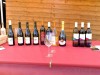18-05-2025, Picnic enologico a Miradolo Terme con degustazione dei prodotti dell'<a href='https://www.viniguglielmini.com/' target='blank'>Azienda Agricola F.lli Guglielmini</a> e visita del Castello di San Colombano: Foto 12