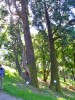 18-05-2025, Picnic enologico a Miradolo Terme con degustazione dei prodotti dell'<a href='https://www.viniguglielmini.com/' target='blank'>Azienda Agricola F.lli Guglielmini</a> e visita del Castello di San Colombano: Foto 34