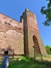 18-05-2025, Picnic enologico a Miradolo Terme con degustazione dei prodotti dell'<a href='https://www.viniguglielmini.com/' target='blank'>Azienda Agricola F.lli Guglielmini</a> e visita del Castello di San Colombano: Foto 39
