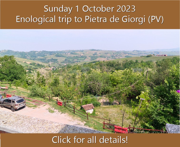 Enological trip to Pietra de Giorgi