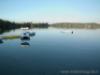 Foto Lago di Monate