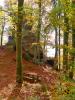 Valdilana - Campiglia Cervo (Biella): Postazione pic nic nel bosco subito sotto alla Panoramica Zegna sopra Piaro
