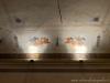 Vimercate (Monza e Brianza, Italy): Decorations on the vault of the billiard hall in Villa Sottocasa