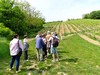26-04-2026, Gita enologica a Pietra de Giorgi con degustazione presso l'<a href='http://www.ferrarivini.it/' target='blank'>Azienda Agricola Ferrari</a>: Foto 39